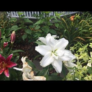 Meet your Posher, Kirsti